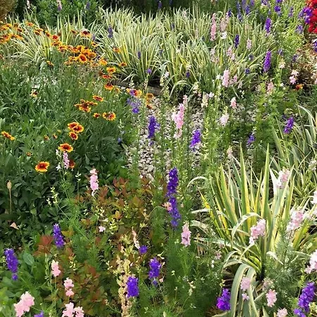 Virag Vonyarcvashegy