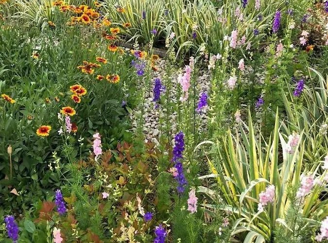 Virag Vonyarcvashegy